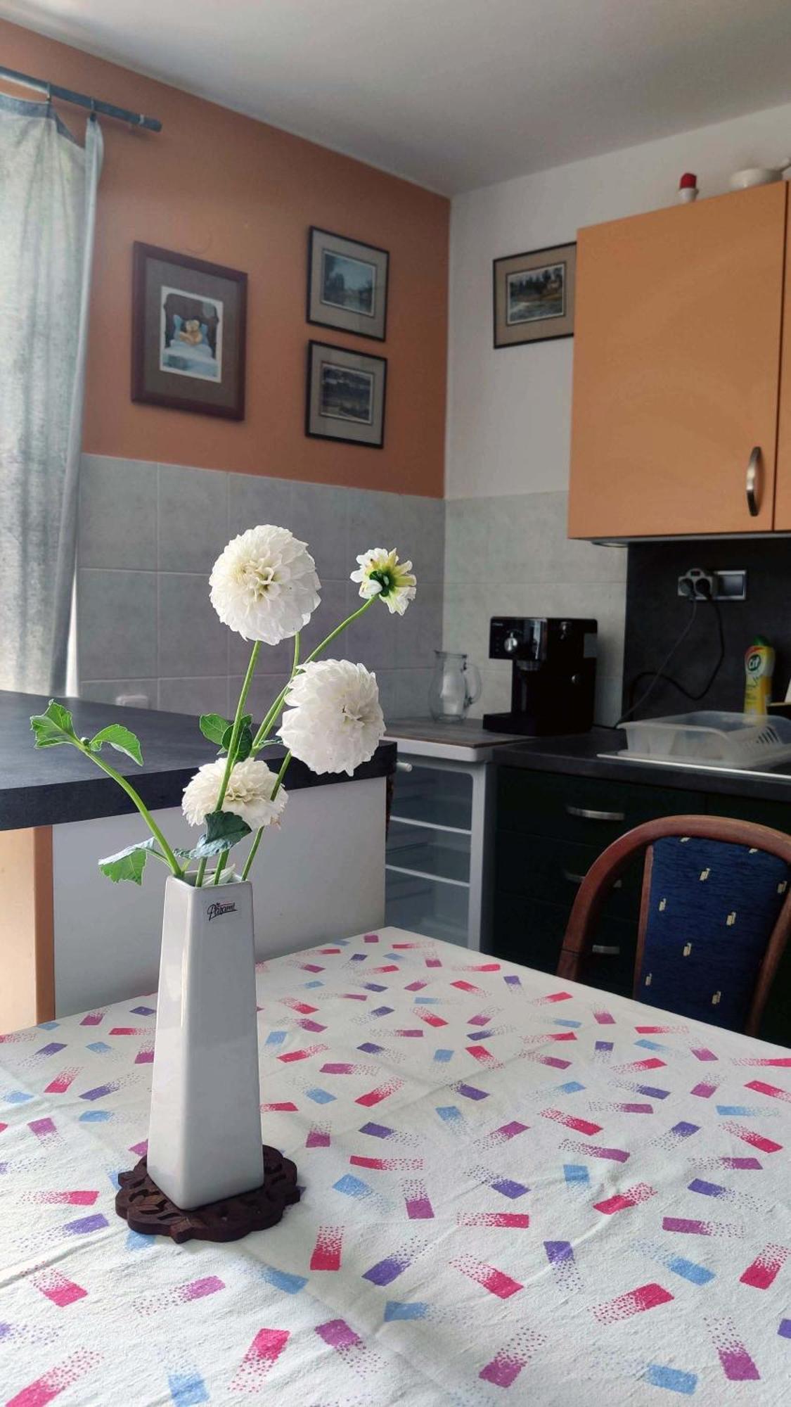Apartman Ulehla Zlin Exterior photo
